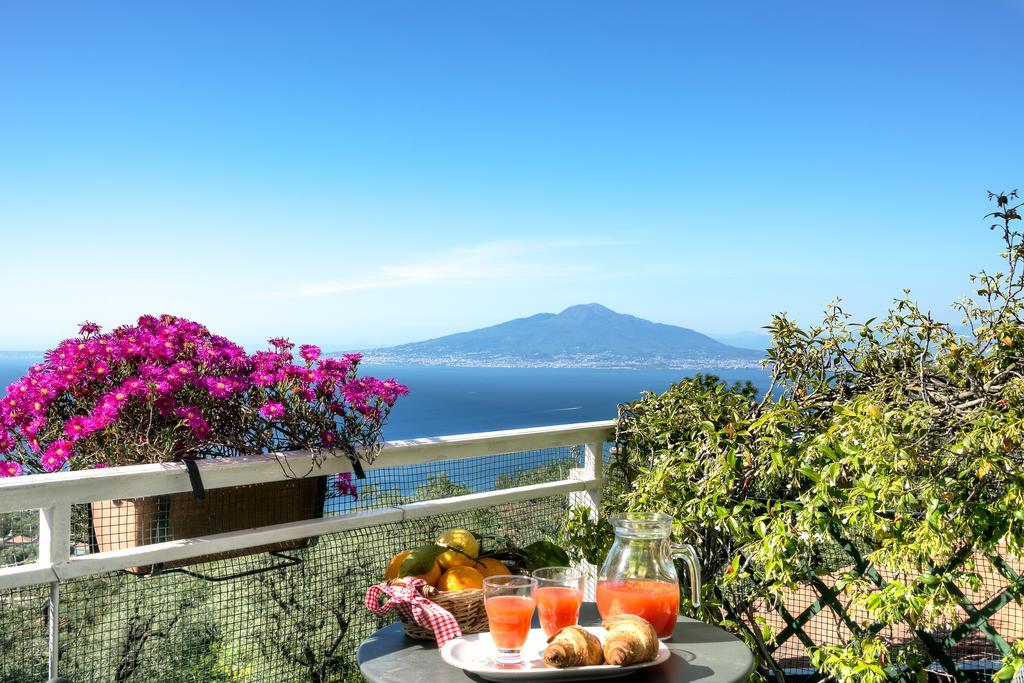 Guest house Casa Elena