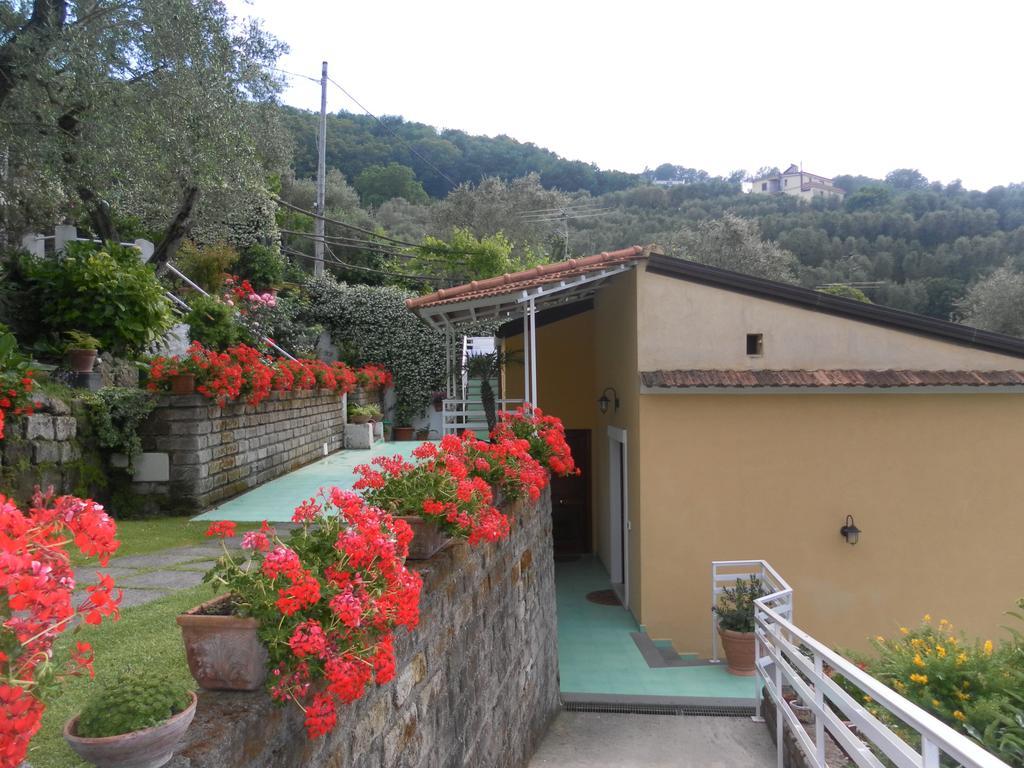 Guest house Casa Elena Sorrento