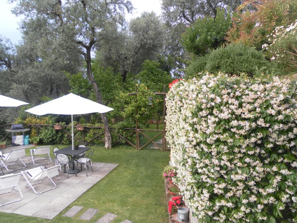 Guest house Casa Elena